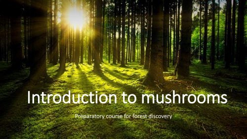 Introduction to mushrooms