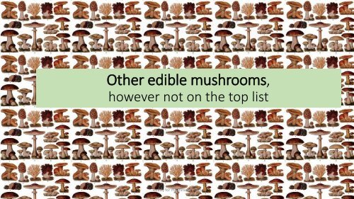 Introduction to mushrooms