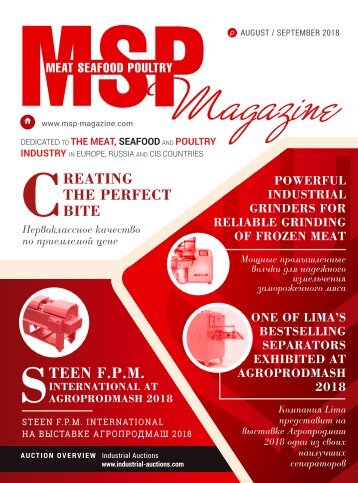 MSP Issue 33