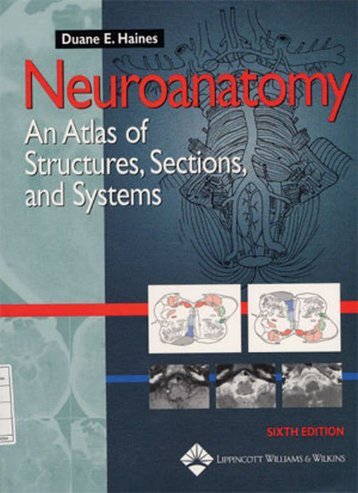 Neuroanatomy