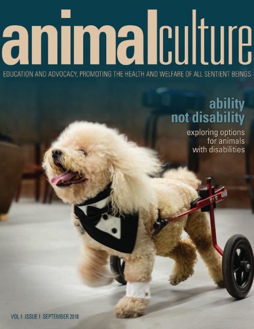 Animal Culture Magazine