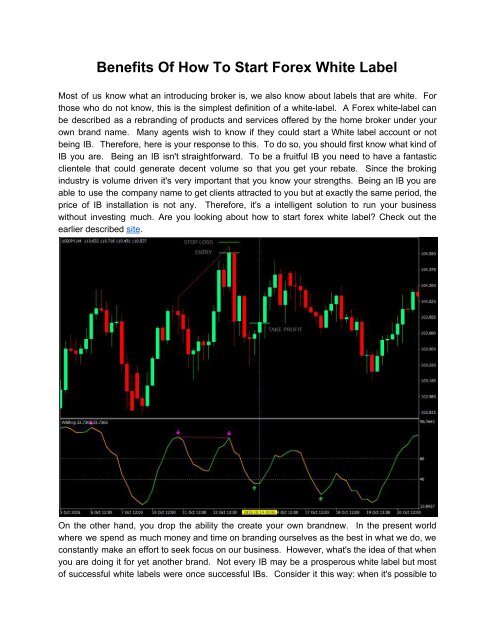 Benefits Of How To Start Forex White Label