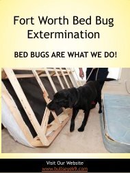 Fort Worth Bed Bug Extermination