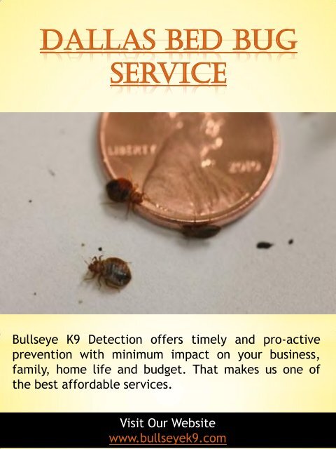 Bed Bug Exterminator Dallas | 4692000637 | bullseyek9.com