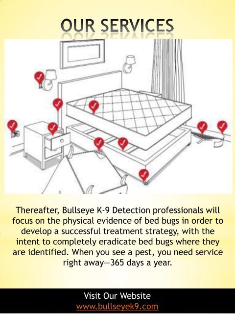 Bed Bug Exterminator Dallas | 4692000637 | bullseyek9.com