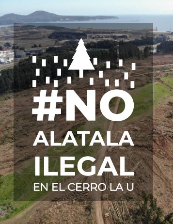 comunicado publico no a la tala ilegal Cerro la U