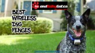 Dog Fence System & More - PetAndBabyGates.com