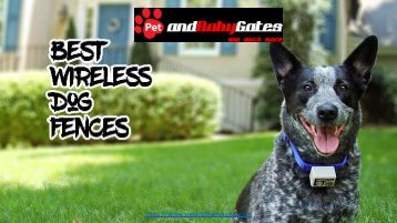 Dog Fence System & More - PetAndBabyGates.com