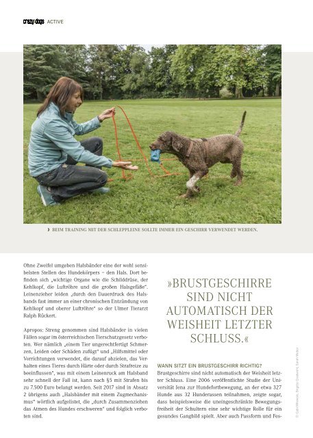 crazy4dogs mit all4pets inside – Herbstausgabe 2018