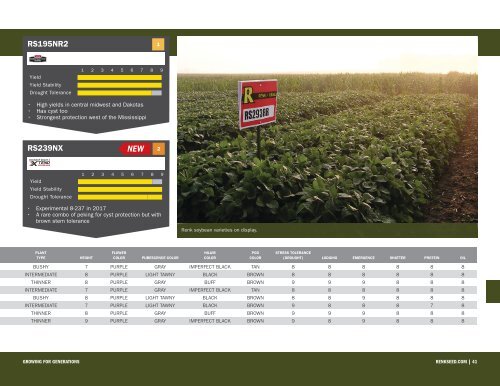 Renk Seed 2019 Seed Catalog