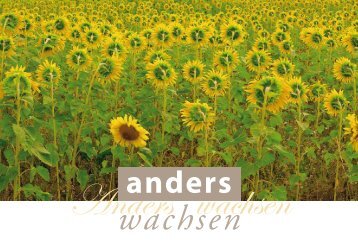 Schreibwerkstatt anders wachsen