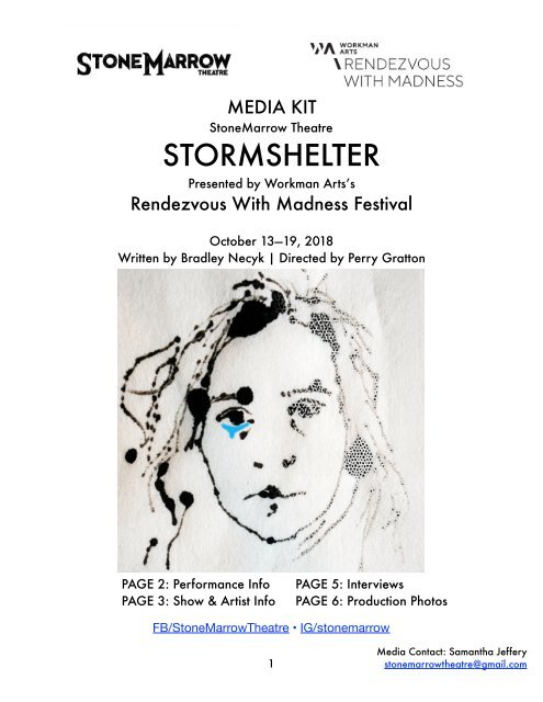Stormshelter at the Rendezvous With Madness Festival - Media Kit