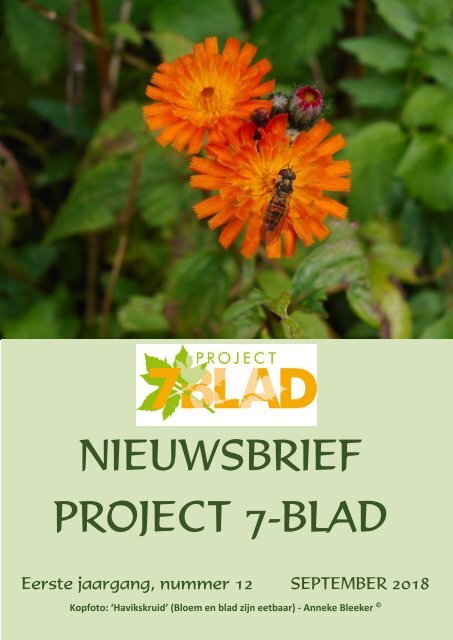 2018.09.22-PROJECT-7-BLAD-NIEUWSBRIEF-12-LV