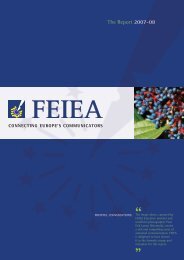 feiea_annual_report_2008_web.pdf