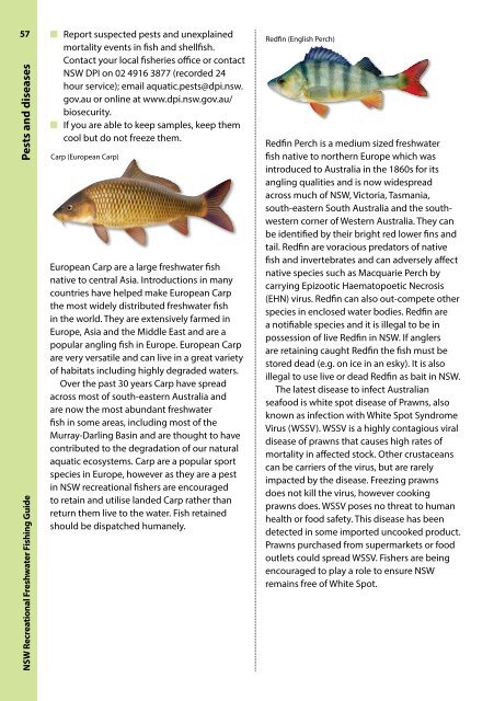 freshwater-recreational-fishing-guide-2018-19
