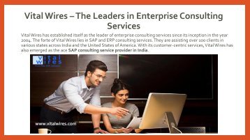 Vital Wires – The Leaders in Enterprise Consulting-converted