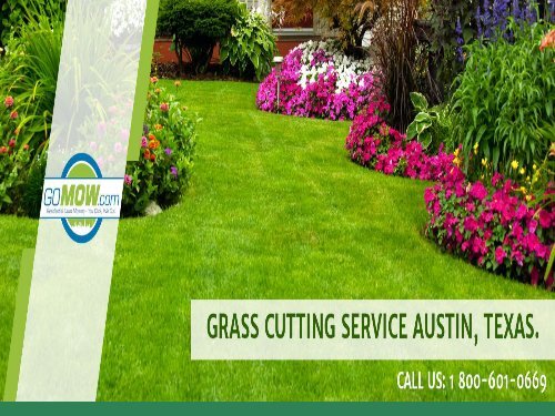 Lawn care services in Texas