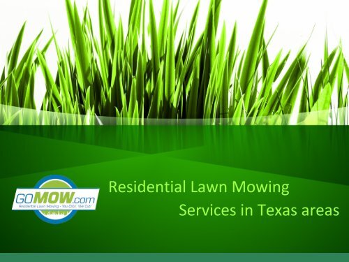 Lawn care services in Texas