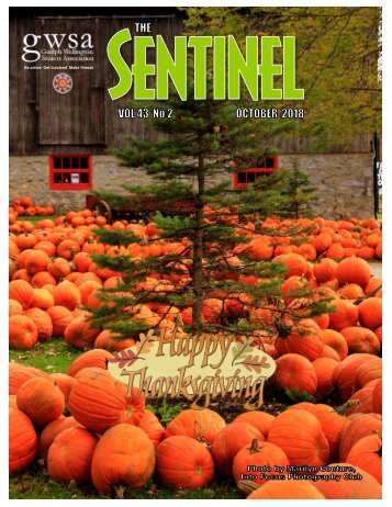 October 2018 issue B