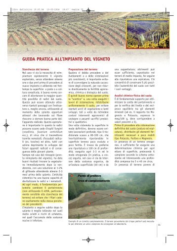 GUIDA PRATICA ALL'IMPIANTO DEL VIGNETO - Veneto Agricoltura