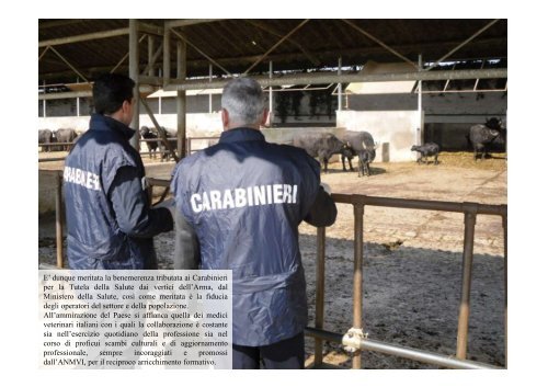 I Carabinieri dei NAS - Ministero della Salute