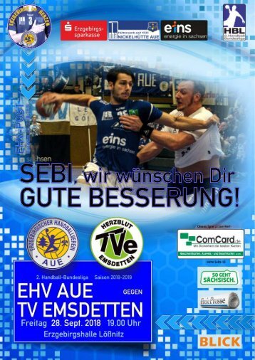 EHV-Post: EHV Aue gegen TV Emsdetten