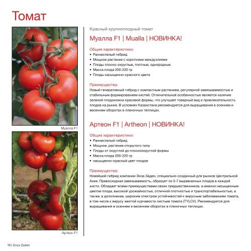 Томат Красная Гвардия Фото