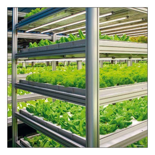 Leaflet Vertical Farming 2018 Japanese version