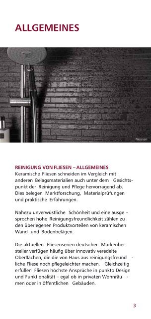 REINIGUNGS- UND PFLEGEHINWEISE - Steuler-Fliesen GmbH