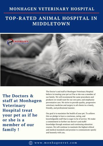 Top-Rated Animal Hospital in Middletown