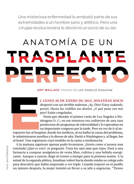 Anatomía_transplante_perfecto
