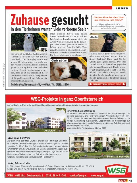 City-Magazin-Ausgabe-2018-10-Wels