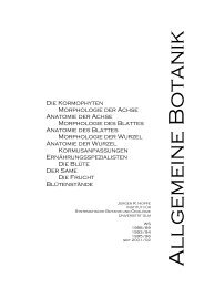 Allgemeine Botanik - Biologie, Universität Ulm
