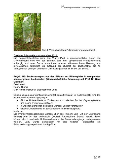 Forschungsbericht 2011 - Nationalpark Hainich