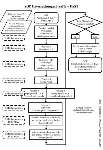 SOP E-FAST Untersuchungsablauf und Entscheidungsprozesse im Schockraum