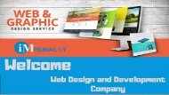 Professional web development company