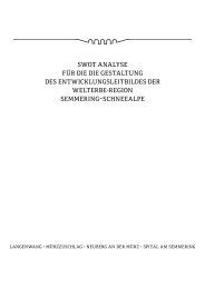 SWOT Analyse
