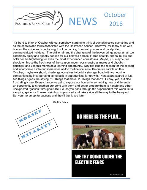 October 2018 FRC Member Newsletter