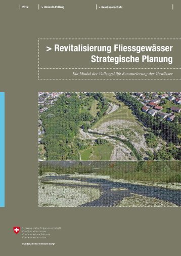 Revitalisierung Fliessgewässer. Strategische Planung - Schweizer ...