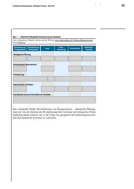 Revitalisierung Fliessgewässer. Strategische Planung - Schweizer ...