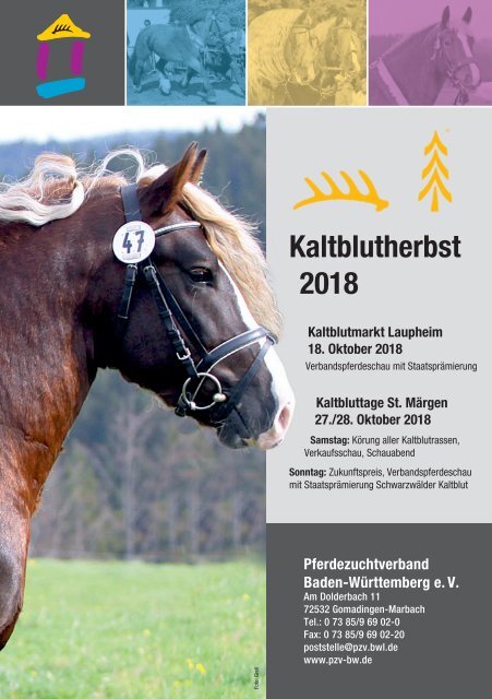Kaltblutherbst 2018