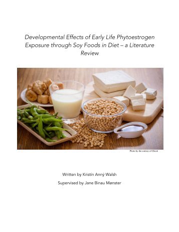 The Developmental Effects of Early Life Phytoestrogen Exposure through Soy Foods in Diet