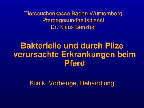 Bakterielle und Pilzerkrankungen beim Pferd