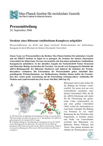 Pressemitteilung - Max-Planck-Institut für molekulare Genetik