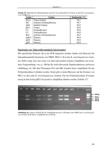 Isolierung und Charakterisierung von Bakterien aus ...