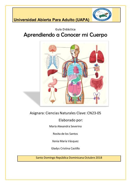 como trabaja la insulina en el cuerpo humano