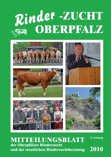 Rinder -ZUCHT OBERPFALZ - Rinderzuchtverband Oberpfalz e.V.