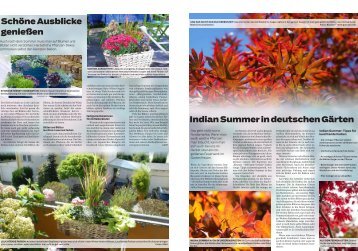 garten_oktober doppel