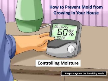 How to Prevent Mold from Growing in Your House