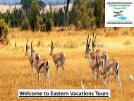 Welcome to Eastern Vacations Tours